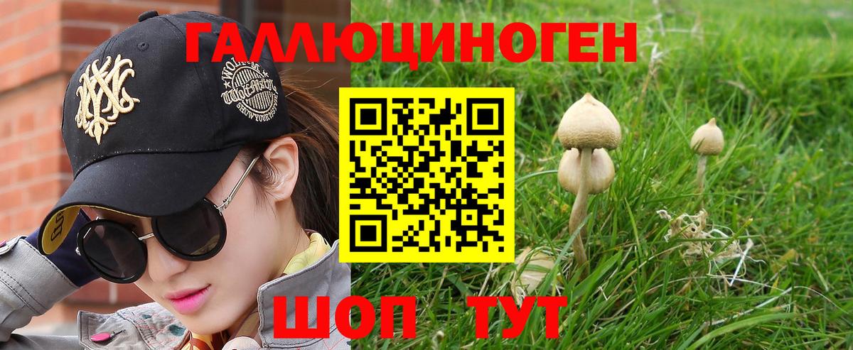 Красный Сулин  Галлюциногенные грибы Magic Shrooms  Вход с VPN  Галлюциногенные грибы Magic Shrooms 